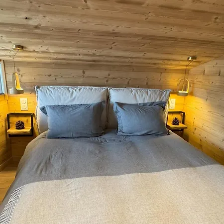 Nivalis - Les Gets, En Plein Centre Et Au Pied Des Pistes Lejlighed